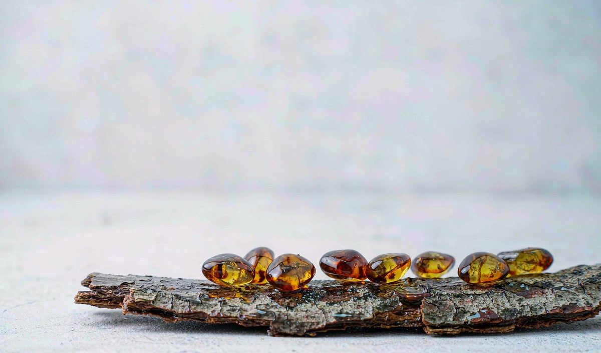Mastic Gum Studies Are Small and Old, and We Still Use It