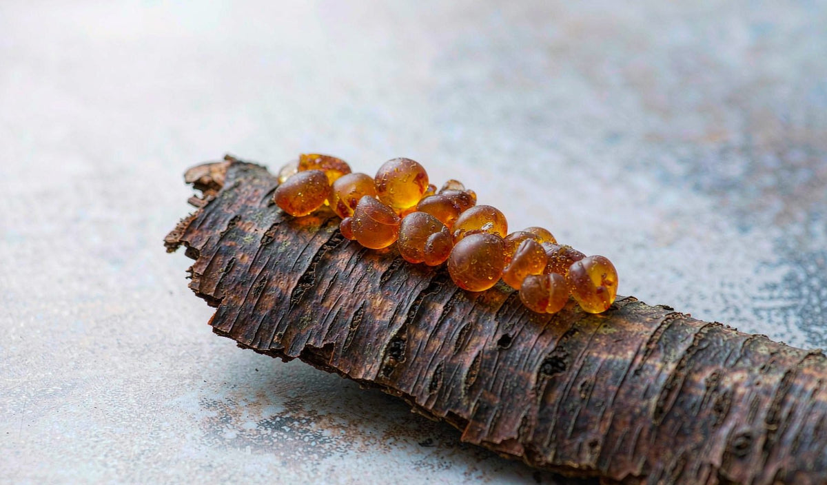 Why Zinc Carnosine and Mastic Show Up Together