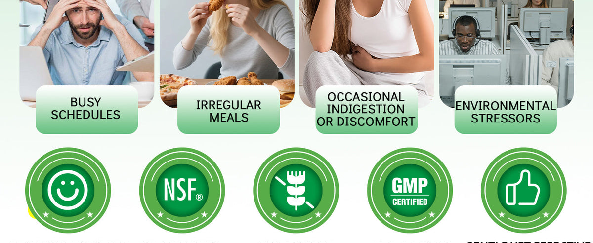 Zinc Carnosine and Mastic Gum Capsules - Stomach Lining and Gut Barrier Support - Product scene 6