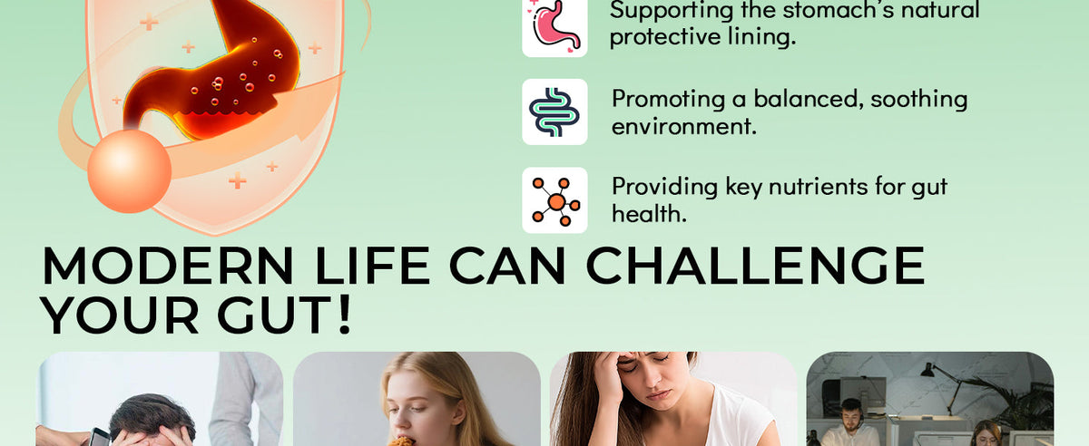 Zinc Carnosine and Mastic Gum Capsules - Stomach Lining and Gut Barrier Support - Product scene 5