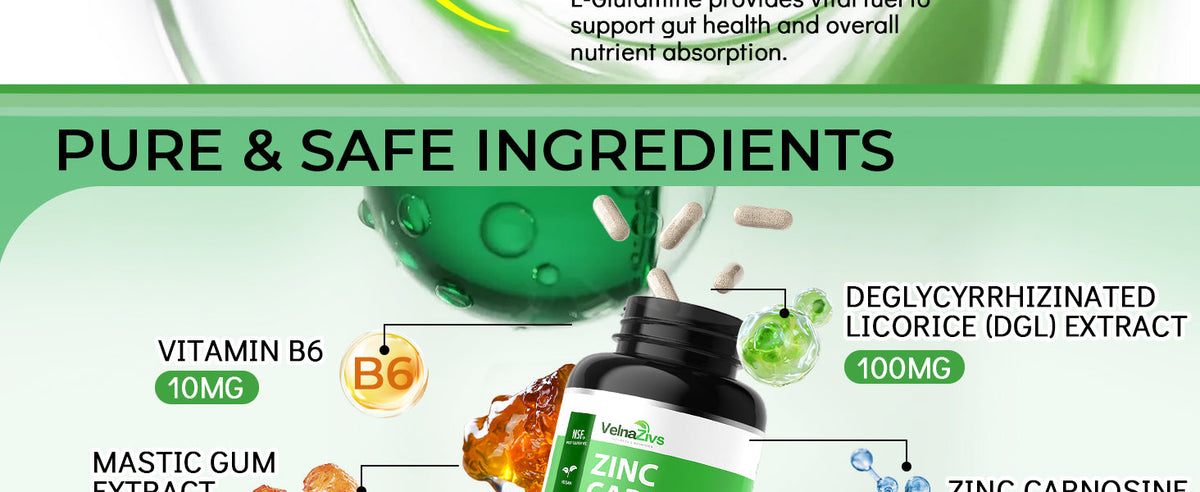 Zinc Carnosine and Mastic Gum Capsules - Stomach Lining and Gut Barrier Support - Product scene 3