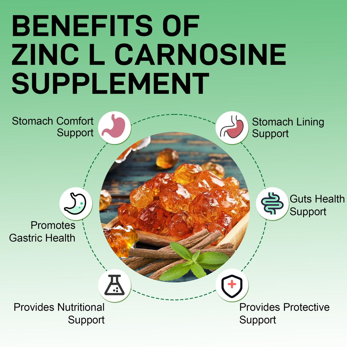 Zinc Carnosine for Stomach Lining Support - additional product image 4